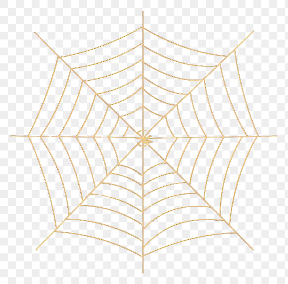 PNG Spider web line backgrounds concentric. 