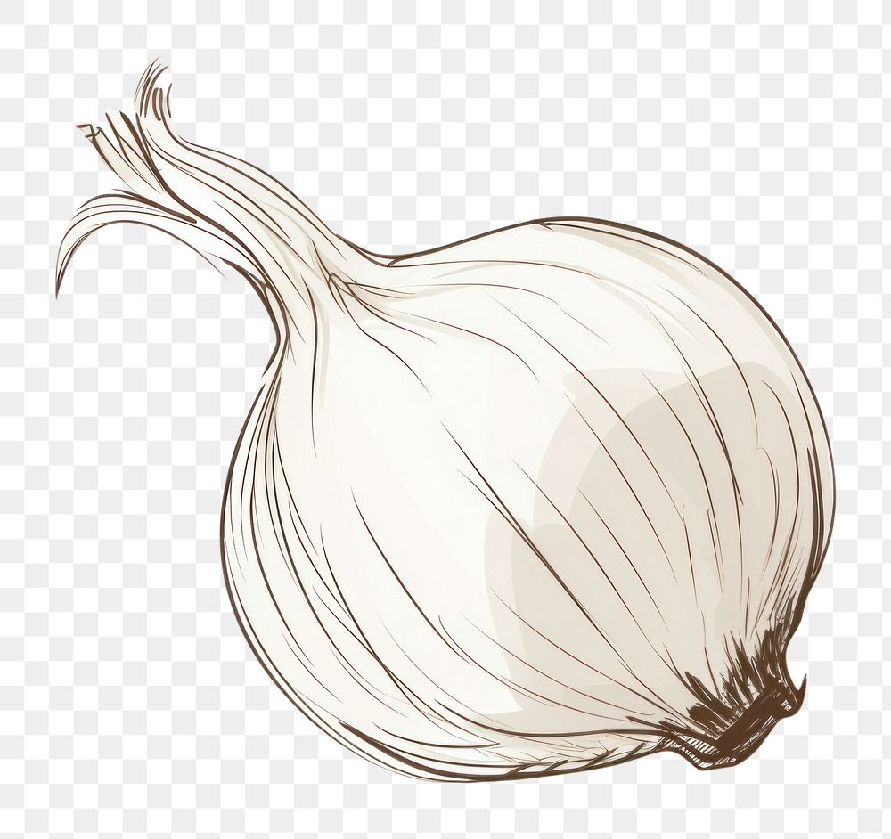 PNG Onion vegetable drawing garlic. AI generated Image by rawpixel.