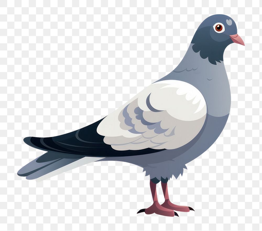 PNG Pigeon pigeon cartoon animal. AI generated Image by rawpixel.