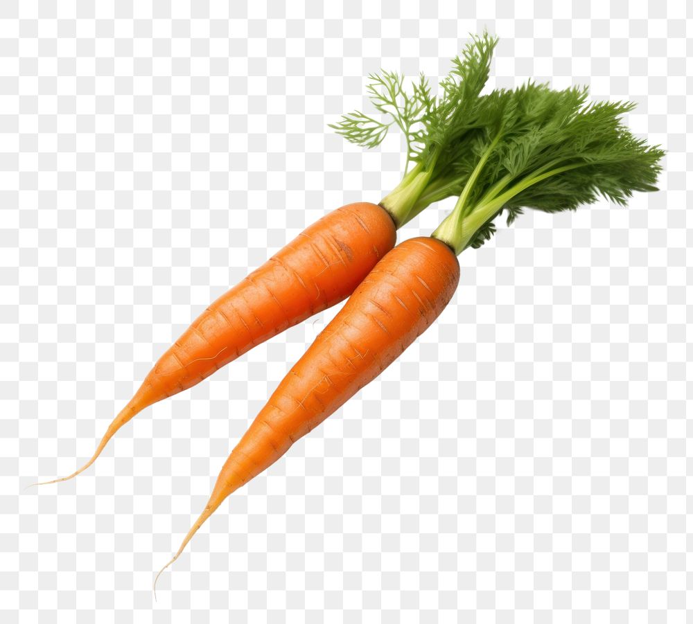 PNG  Two carrots vegetable plant green. AI generated Image by rawpixel.