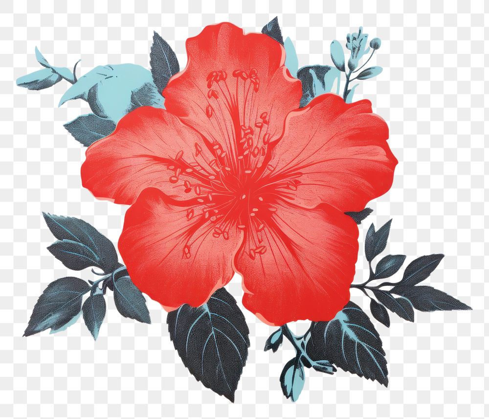 PNG Azalea flower hibiscus petal plant. AI generated Image by rawpixel.