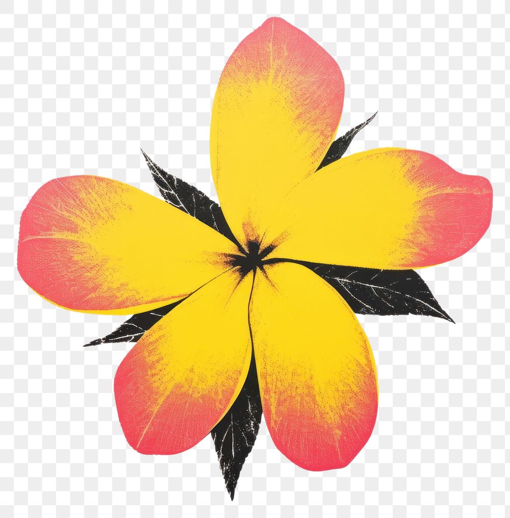 PNG Plumeria flower graphics yellow petal. AI generated Image by rawpixel.