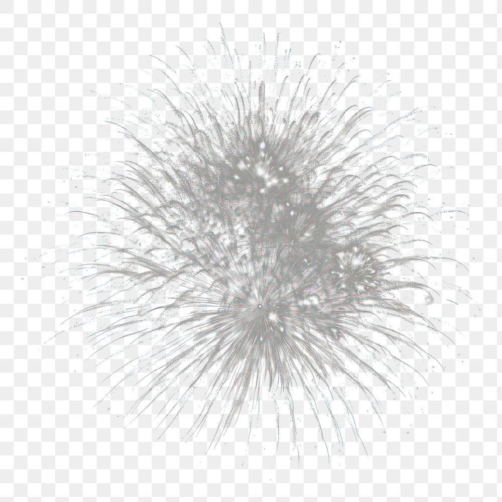 PNG Fireworks outdoors black night. AI generated Image by rawpixel.