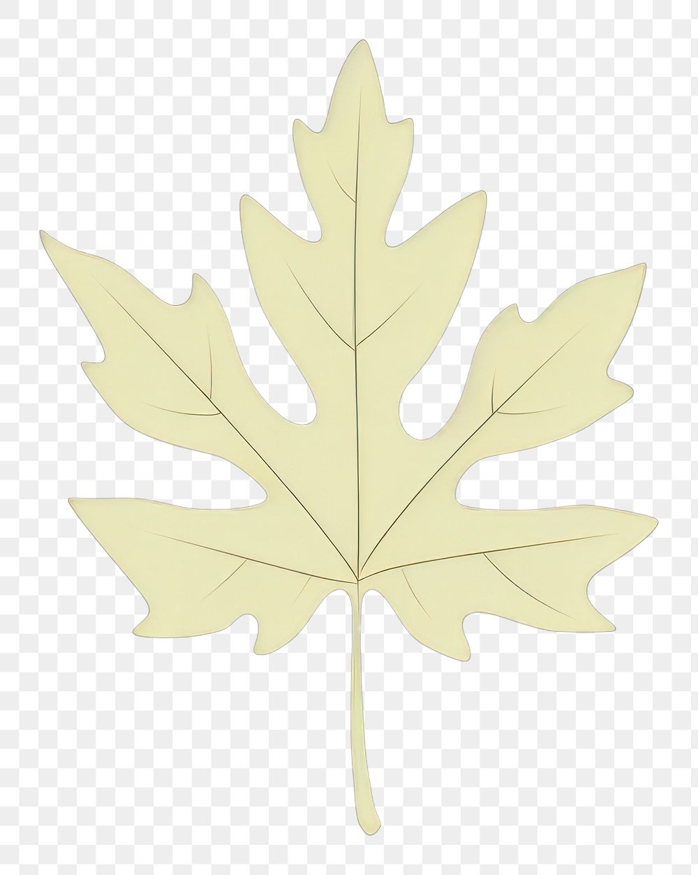 PNG Leaf plant symbol maple. AI generated Image by rawpixel.