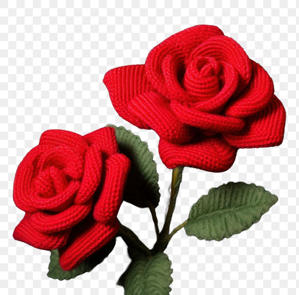 PNG  Red roses flower plant inflorescence. AI generated Image by rawpixel.