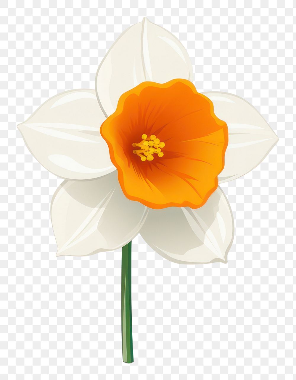 PNG  Daffodil daffodil flower plant. AI generated Image by rawpixel.