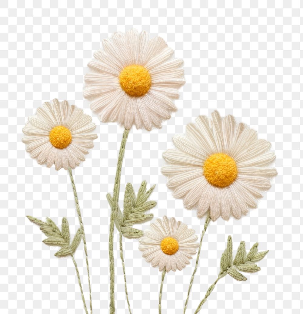 PNG Upper frame border with little daisy pattern backgrounds flower. AI generated Image by rawpixel.