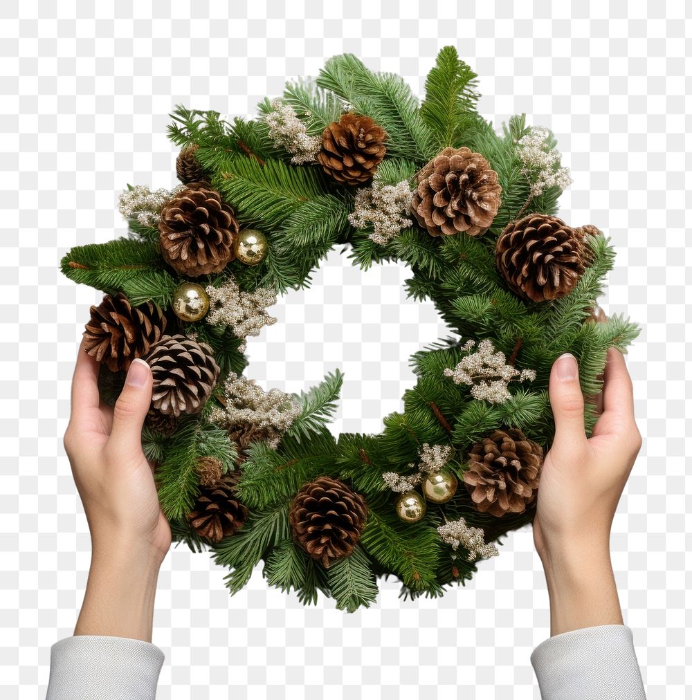 PNG Hand holding pine wreath christmas wood celebration. AI generated Image by rawpixel.