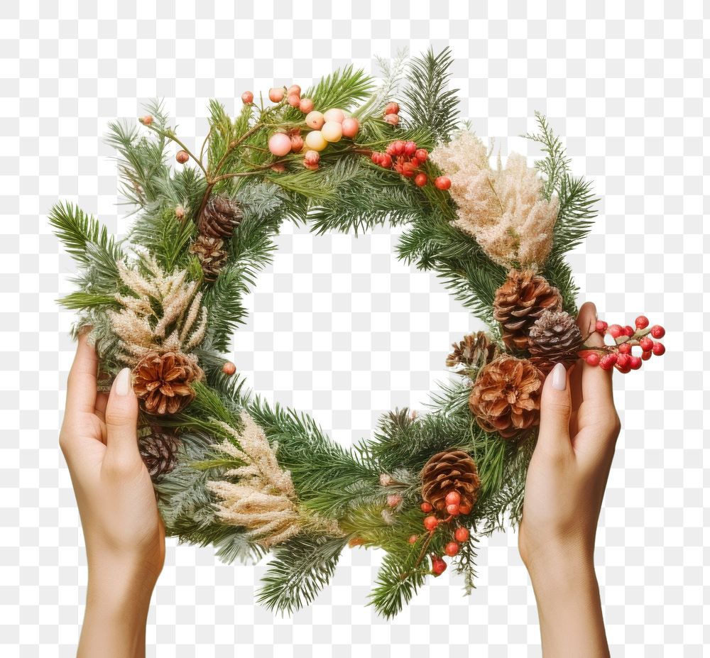 PNG Hand holding pine wreath christmas plant celebration. AI generated Image by rawpixel.