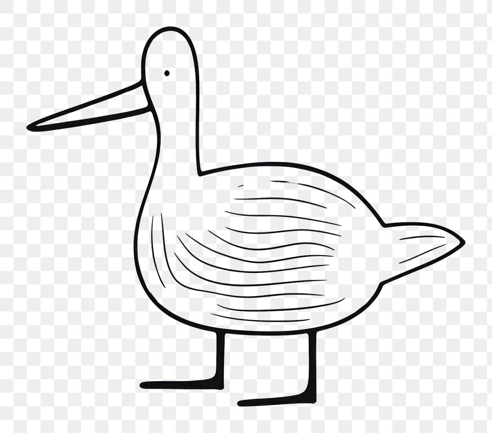 PNG Minimal illustration of duck drawing animal sketch. AI generated Image by rawpixel.