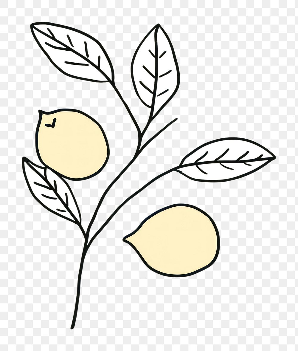 Minimal illustration of lemon branch drawing sketch plant. AI generated Image by rawpixel.