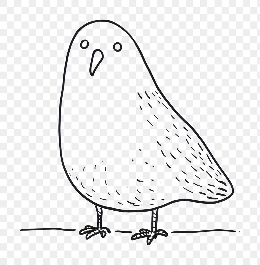 PNG Minimal illustration of pigeon drawing sketch animal. AI generated Image by rawpixel.