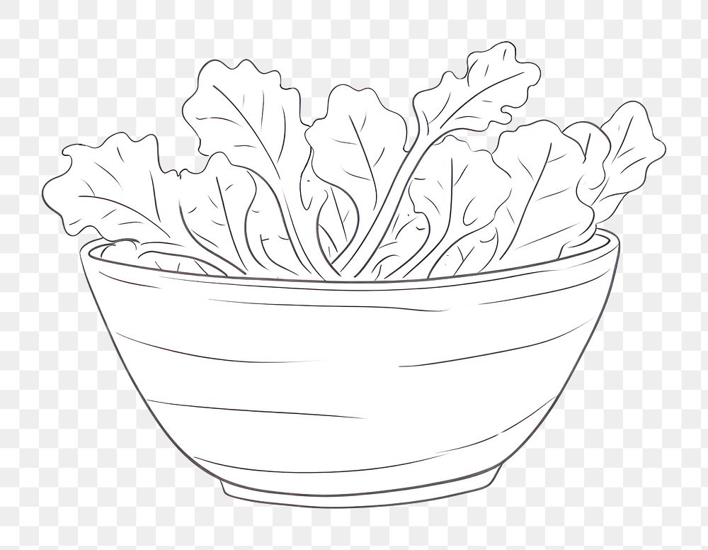 Minimal illustration of salad drawing sketch bowl. AI generated Image by rawpixel.