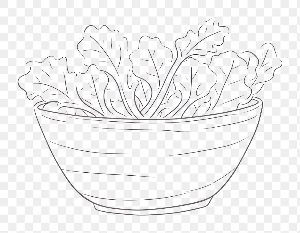 PNG Minimal illustration of salad drawing sketch bowl. AI generated Image by rawpixel.