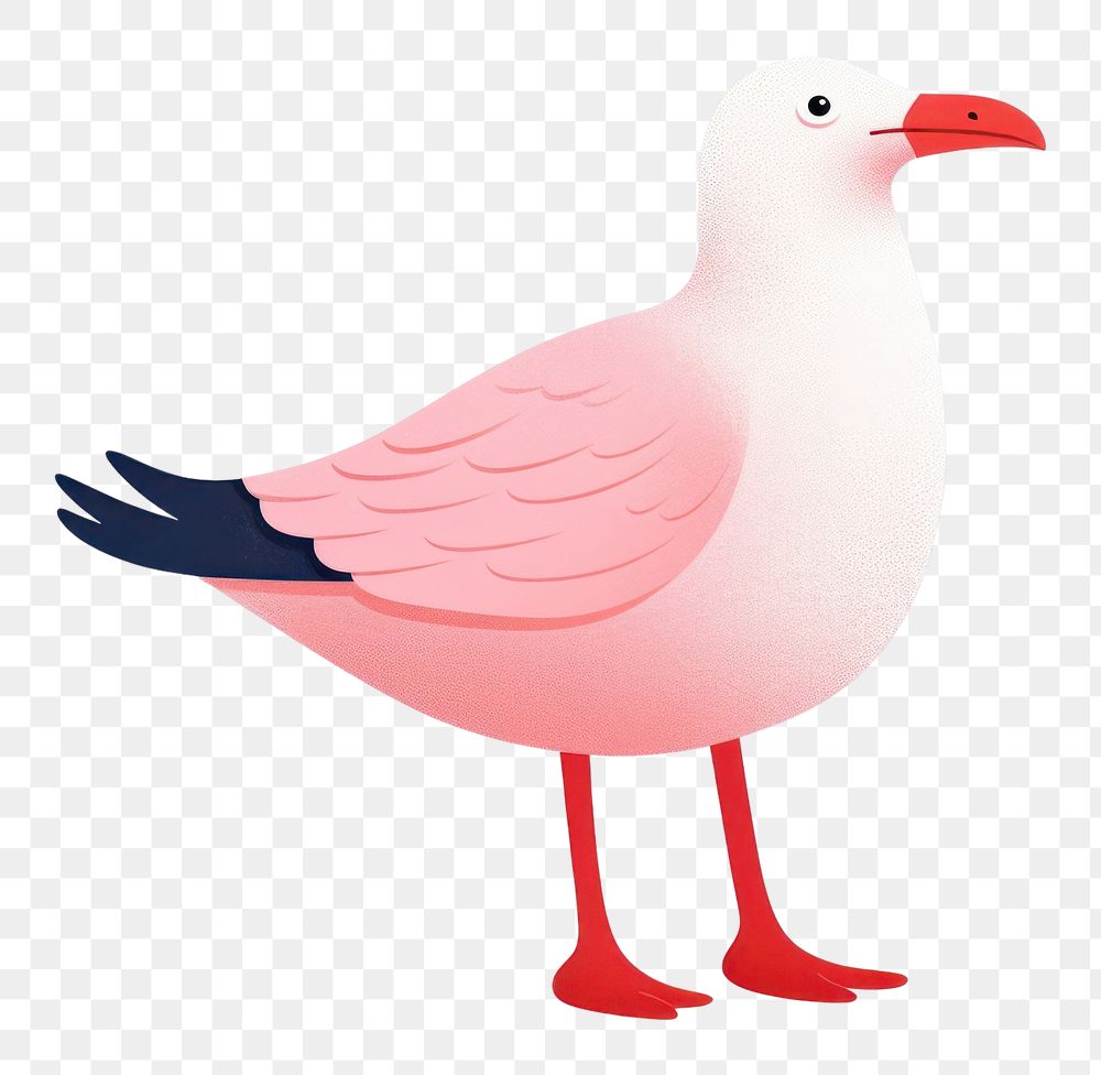 PNG Seagull flamingo animal bird. AI generated Image by rawpixel.