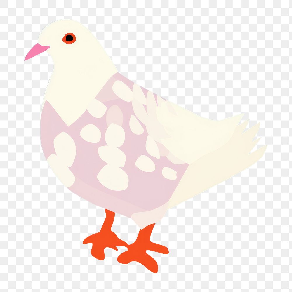 PNG White pigeon cartoon animal bird. AI generated Image by rawpixel.