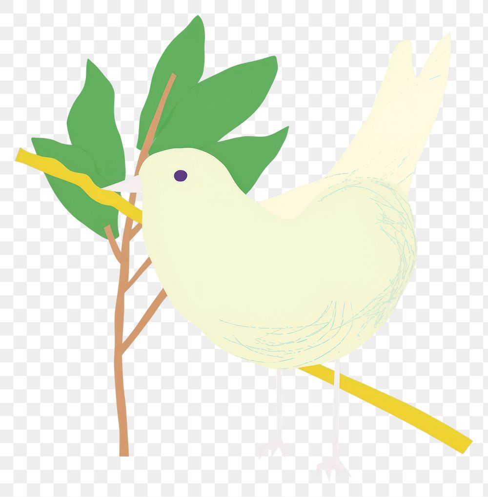 PNG White pigeon fly with olive stick in mouth cartoon drawing animal. AI generated Image by rawpixel.