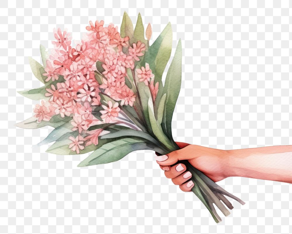 PNG Freshness floristry fragility holding. AI generated Image by rawpixel.