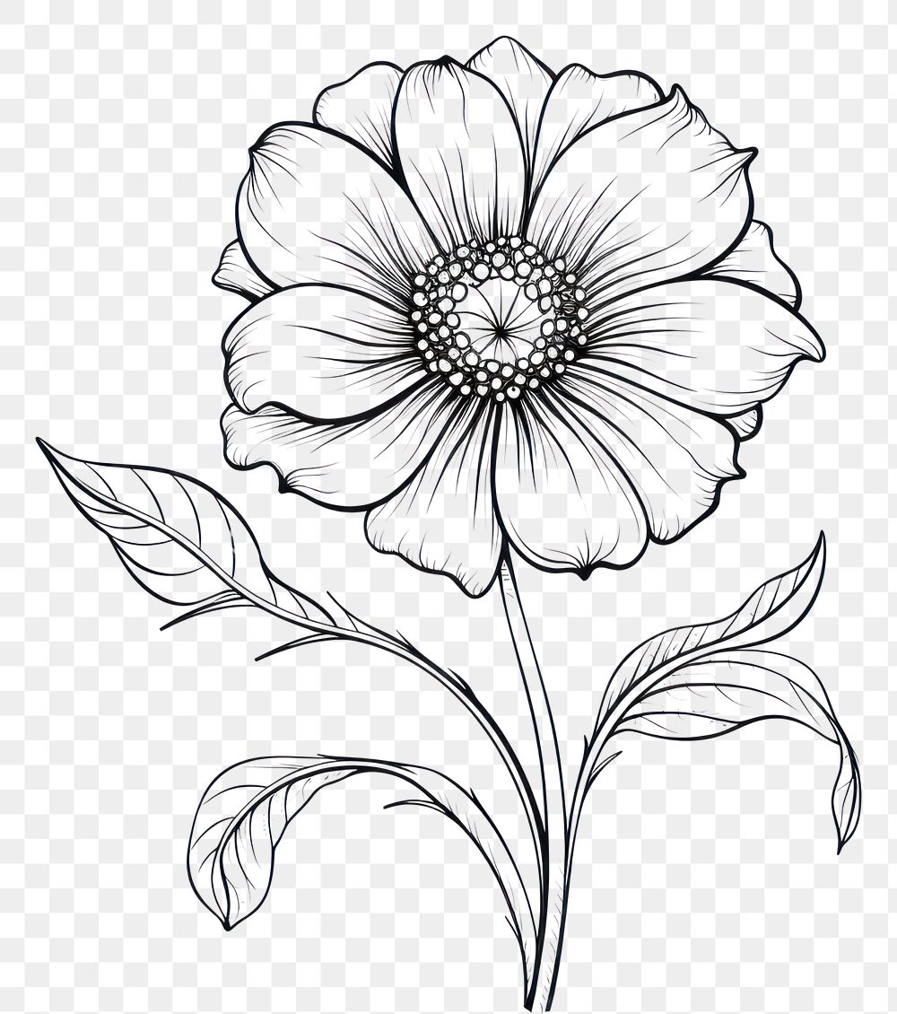 PNG Flower pattern drawing sketch. AI generated Image by rawpixel.
