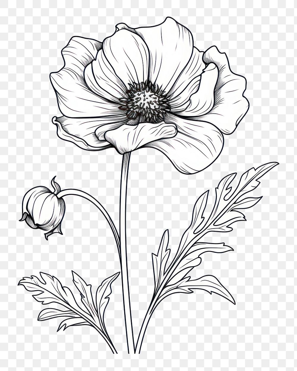 PNG Flower drawing sketch doodle. AI generated Image by rawpixel.