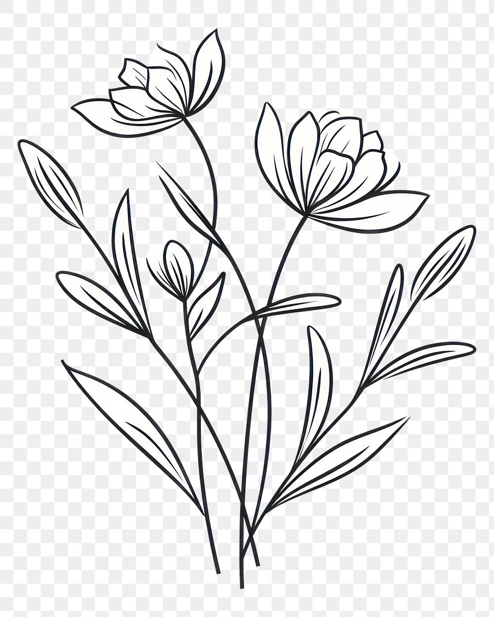 PNG Floral plant pattern drawing. AI generated Image by rawpixel.