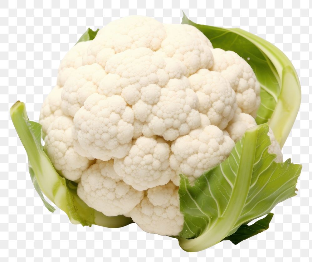 PNG Cauliflower isolated vegetable plant white. AI generated Image by rawpixel.