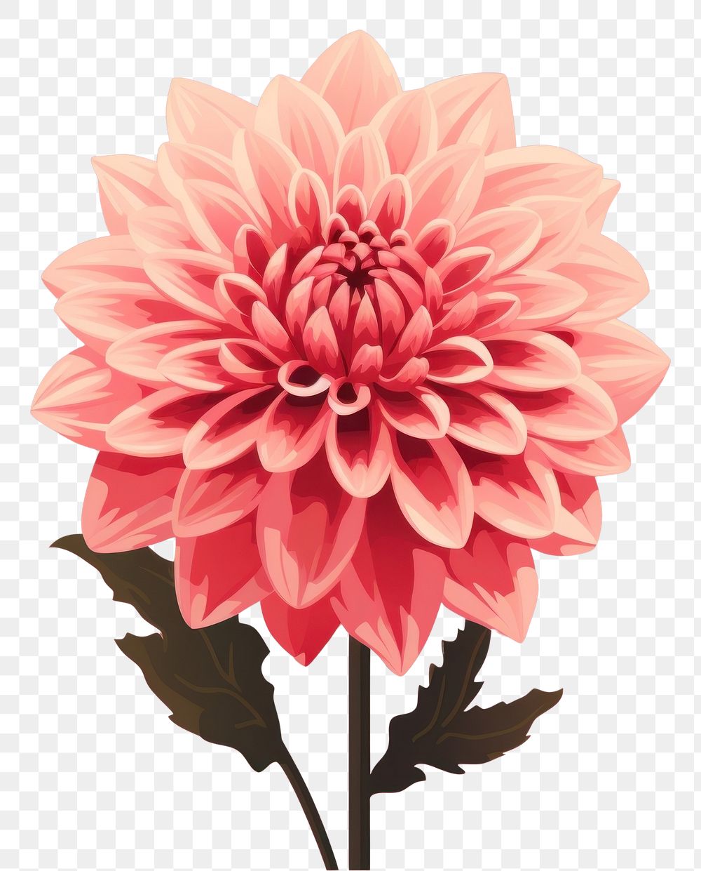 PNG Dahlia flower plant pink. AI generated Image by rawpixel.