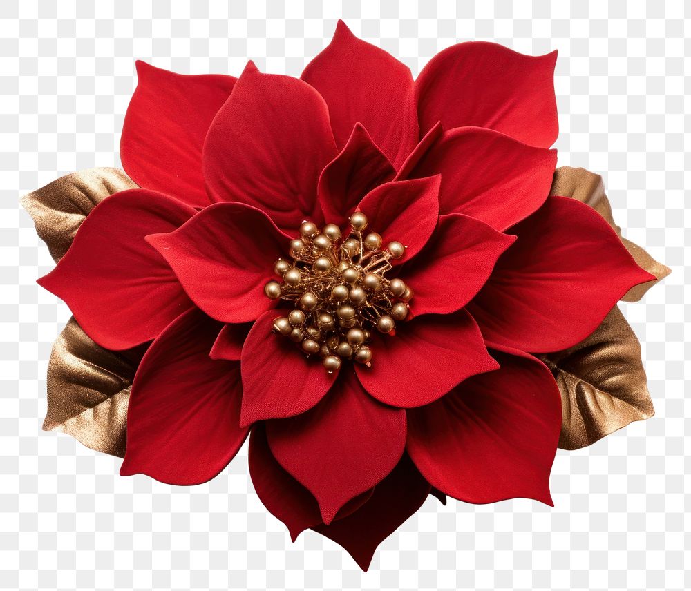 PNG Flower christmas dahlia brooch. AI generated Image by rawpixel.