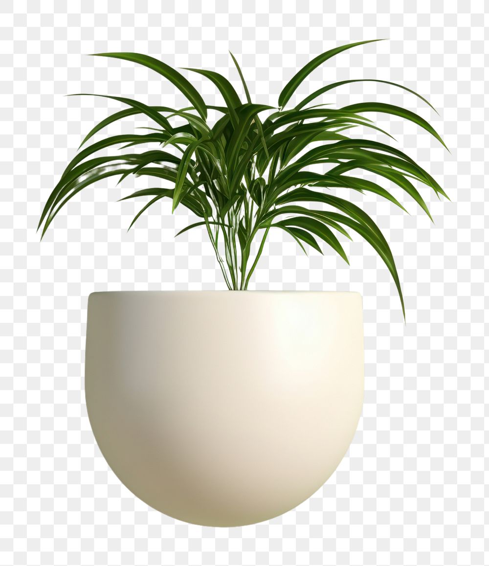 PNG Cute ceramic pot plant vase wall houseplant. AI generated Image by rawpixel.