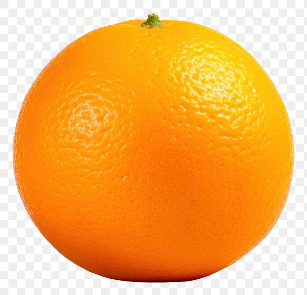 PNG An Orange grapefruit orange plant. AI generated Image by rawpixel.