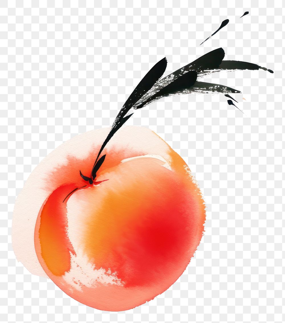 PNG Chinese Peach fruit painting peach plant. AI generated Image by rawpixel.