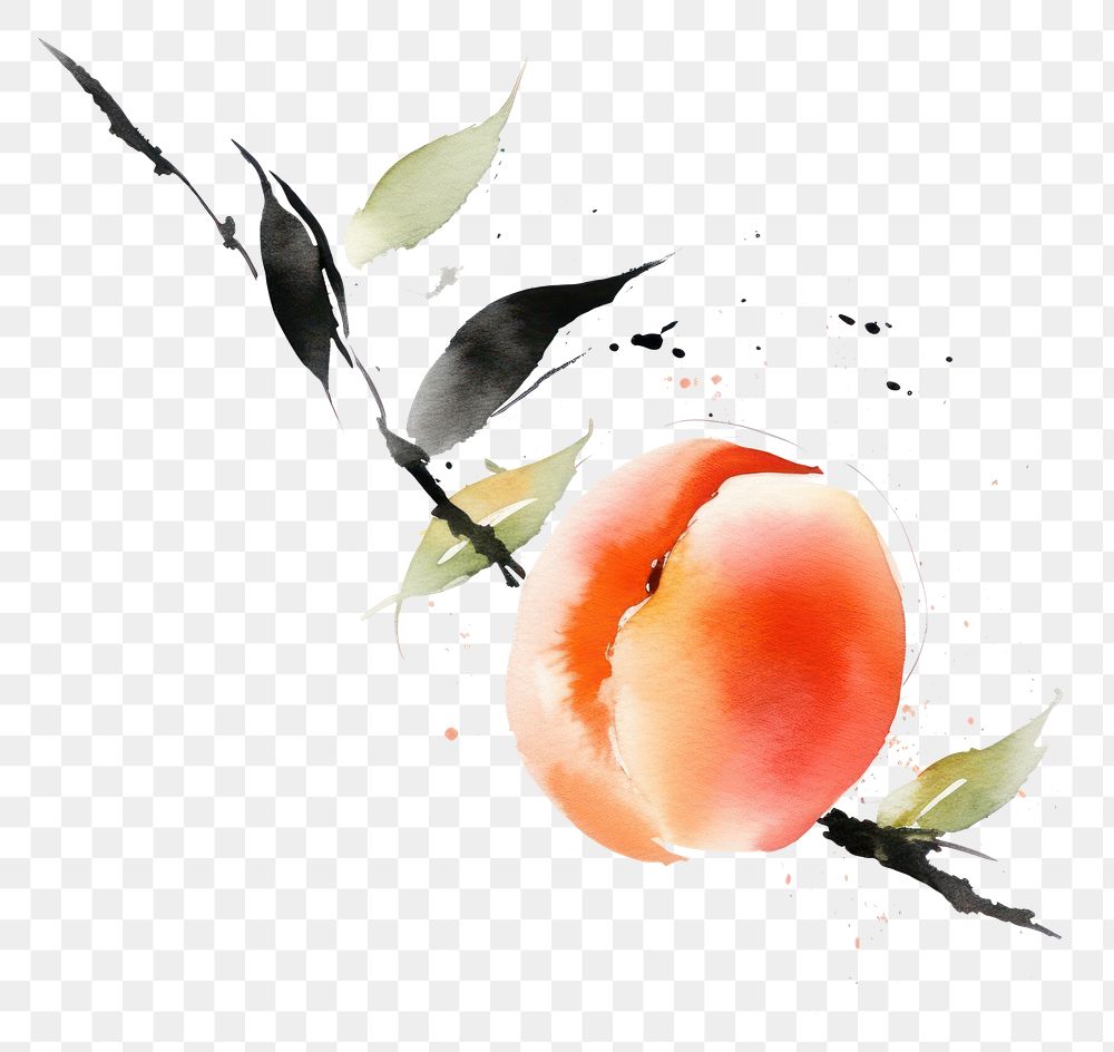 PNG Peach fruit peach painting plant. AI generated Image by rawpixel.