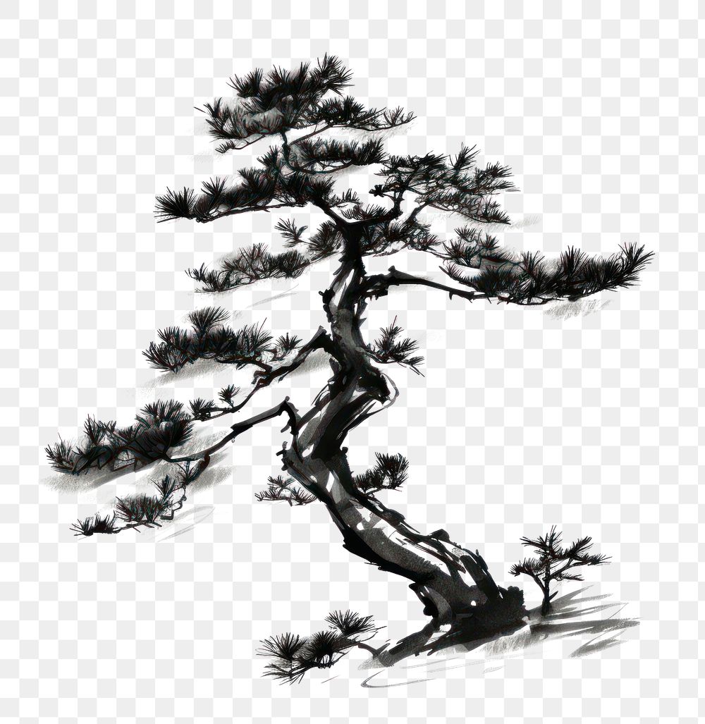 PNG Pine tree drawing sketch | Premium PNG - rawpixel