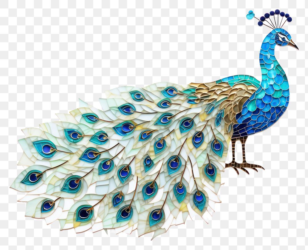 PNG Peacok peacock animal bird