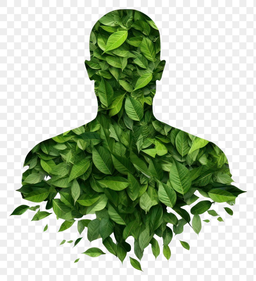 PNG  Green leaf covered a human icon plant portrait nature. AI generated Image by rawpixel.