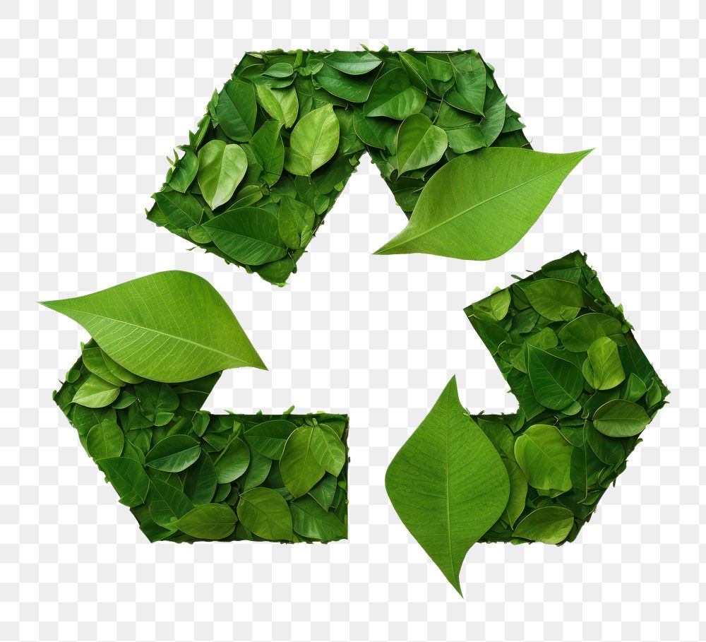 a graphic of a *green leaf covered a recycle icon*, isolated on white background --ar 3:2