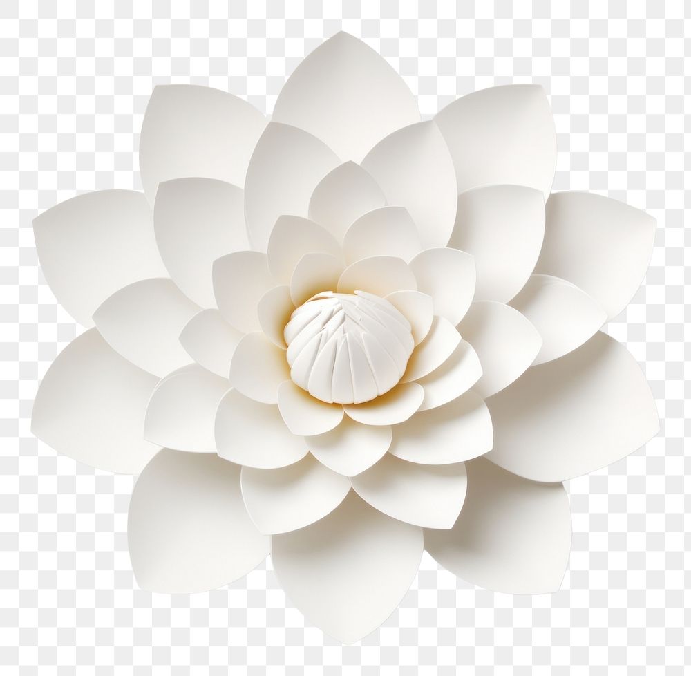 PNG Price tag paper label lotus flower shape petal white white background. AI generated Image by rawpixel.