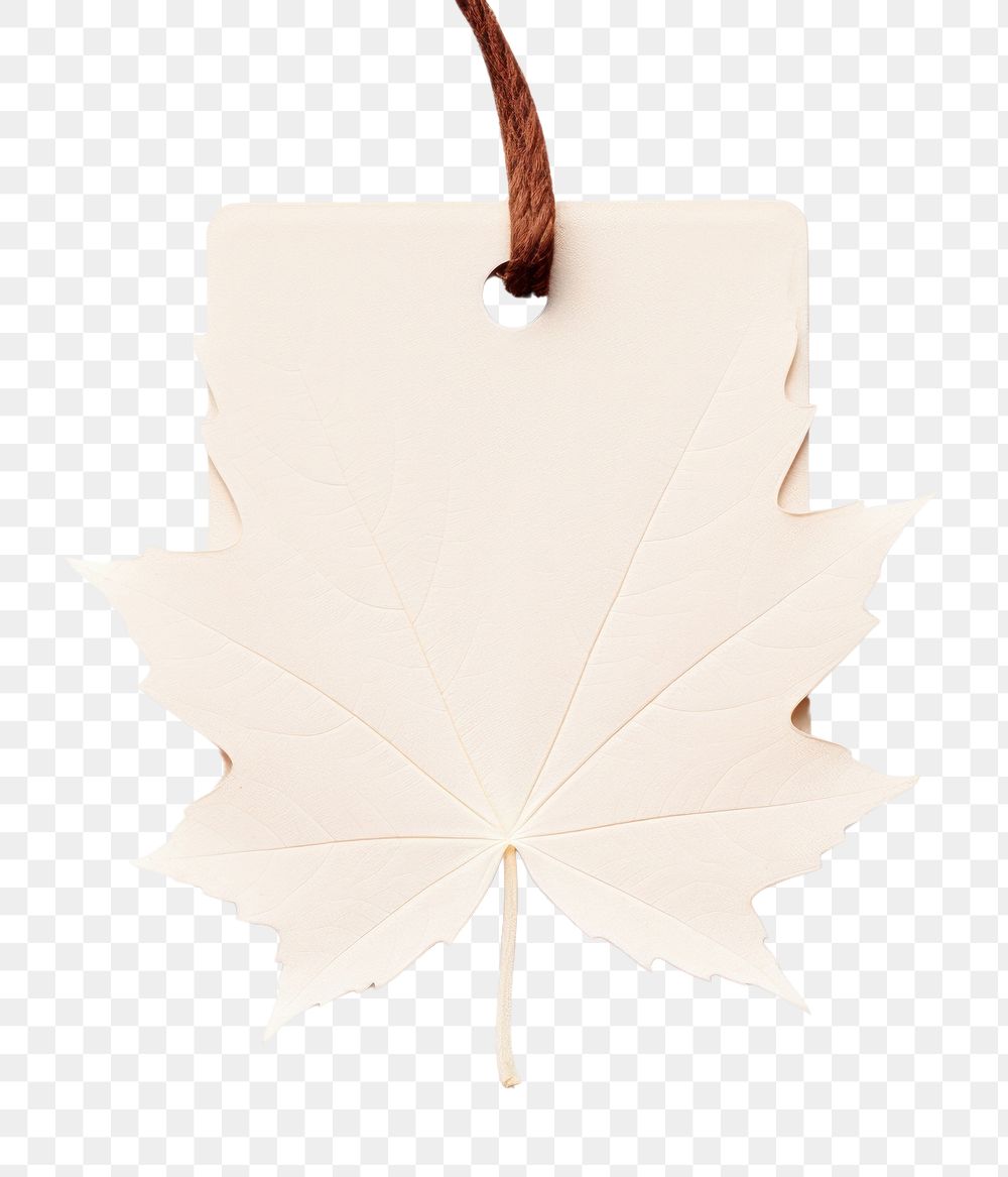 PNG Price tag paper label maple shape plant leaf tree. AI generated Image by rawpixel.