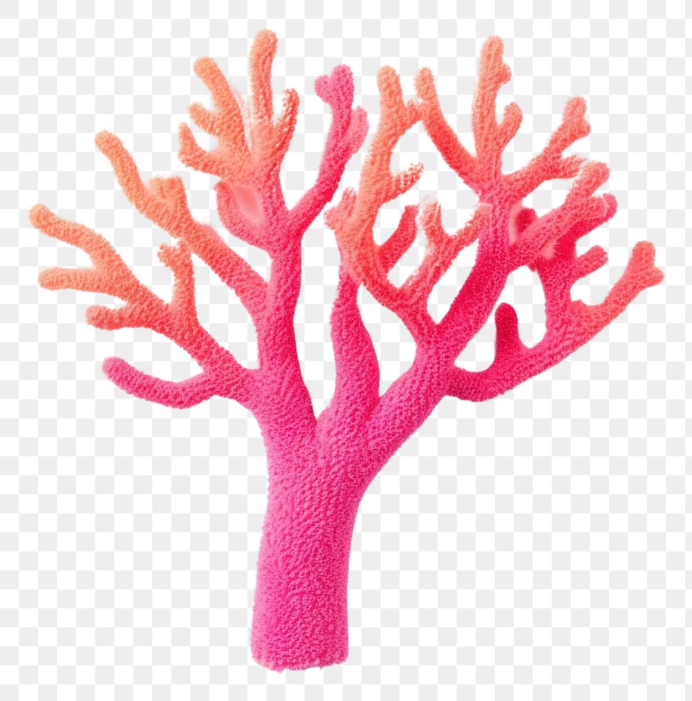 PNG Colorful Branched Finger Coral toy white background invertebrate echinoderm. AI generated Image by rawpixel.