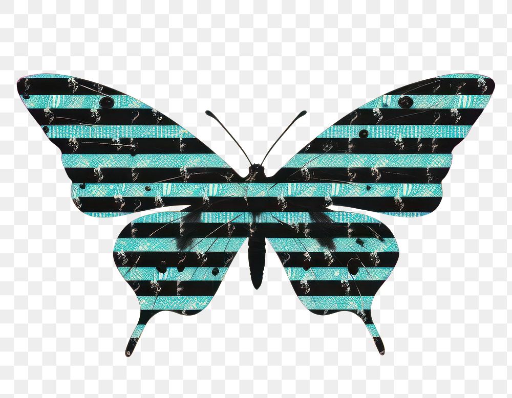 PNG A butterfly art creativity outdoors. AI generated Image by rawpixel.