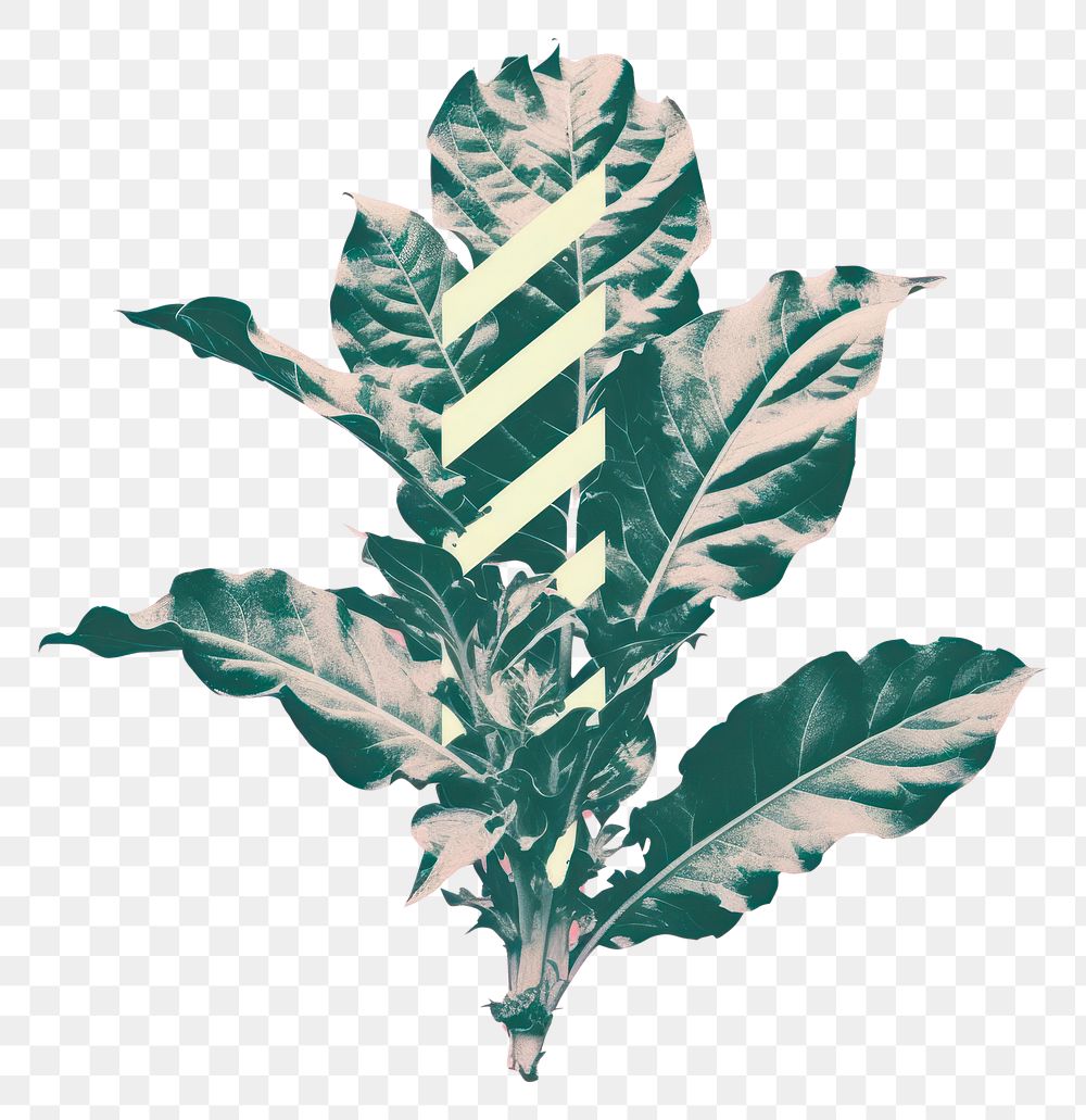 PNG Botanical plant leaf pattern. AI generated Image by rawpixel.