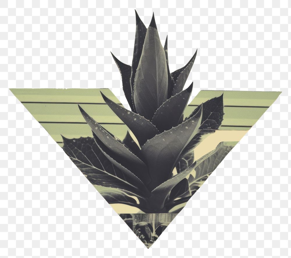 PNG Botanical plant leaf pineapple. AI generated Image by rawpixel.