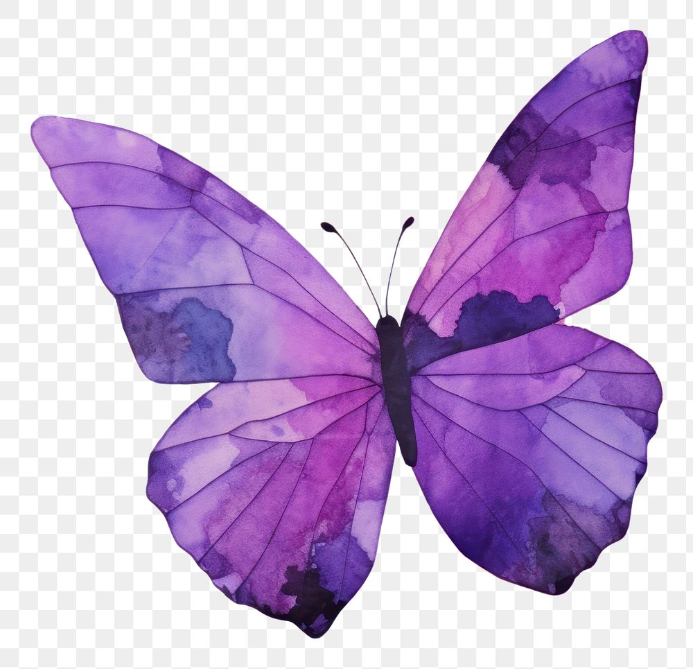 PNG Purple butterfly abstract petal. AI generated Image by rawpixel.