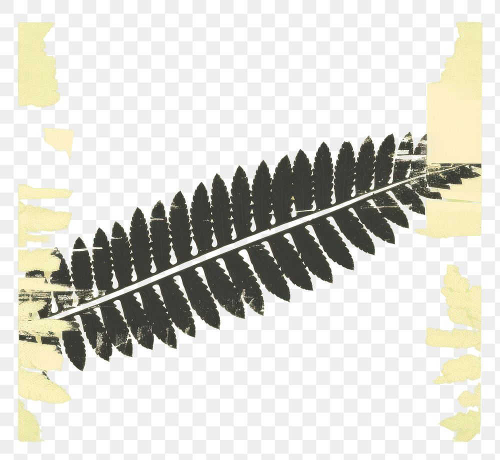 PNG Fern plant leaf dynamite. AI generated Image by rawpixel.
