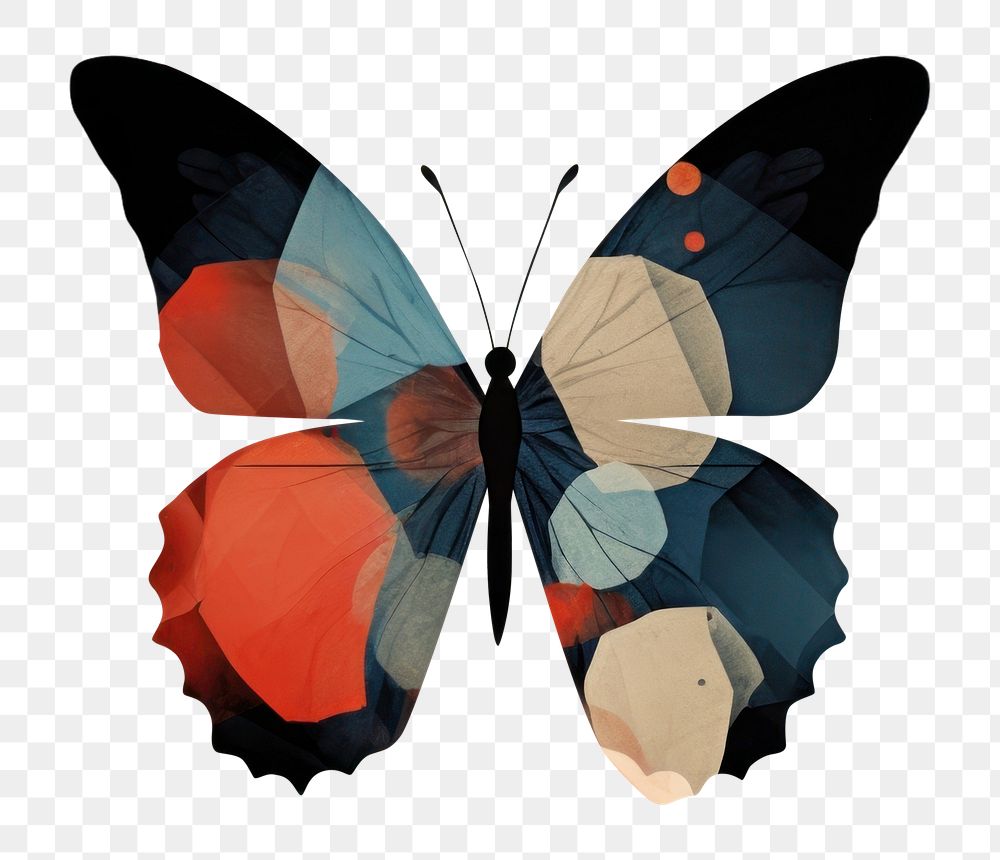 PNG Butterfly painting pattern animal. AI generated Image by rawpixel.