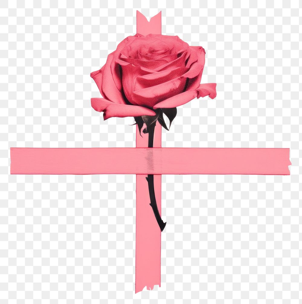 PNG Rose symbol flower cross. AI generated Image by rawpixel.