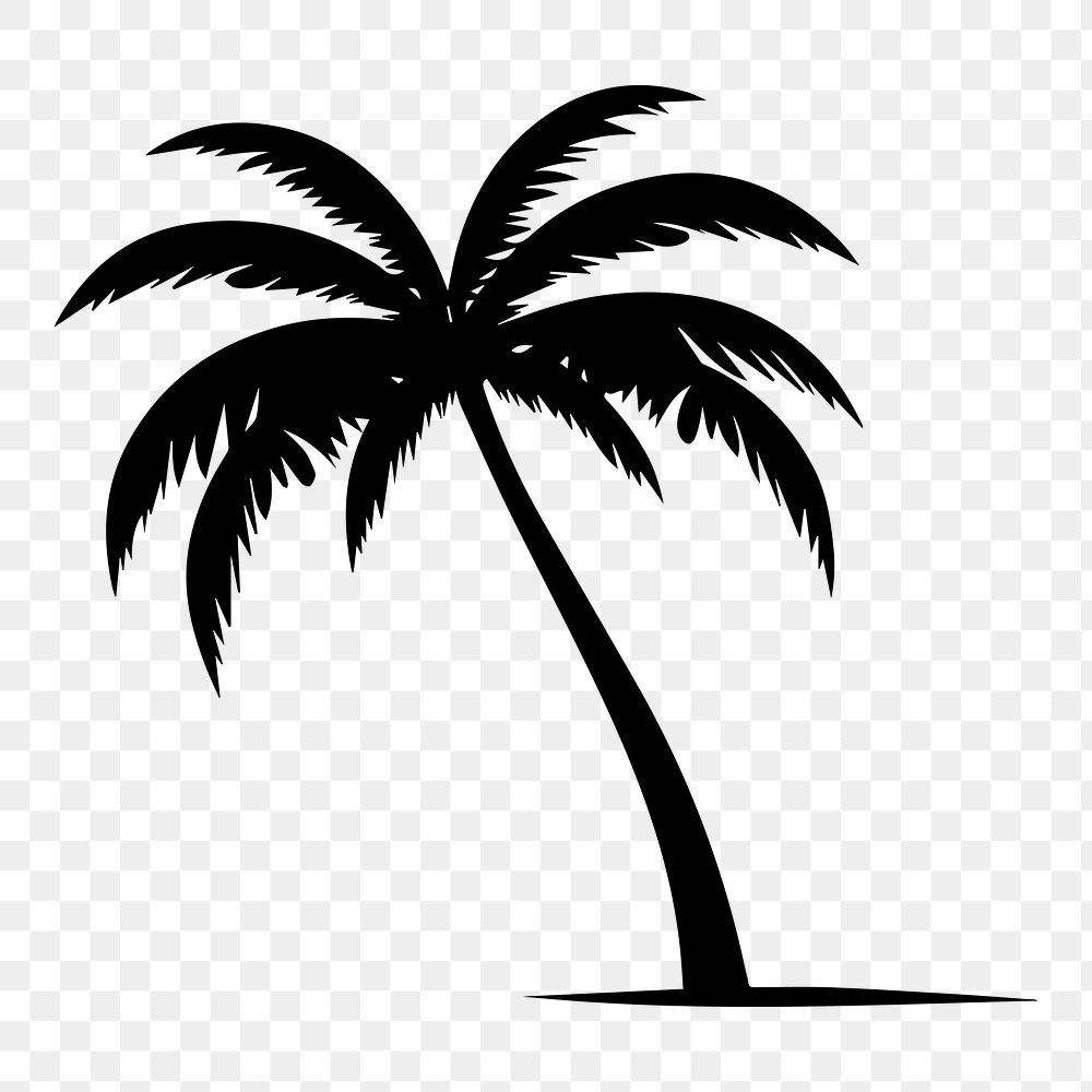 PNG  Palm islans silhouette plant tree.