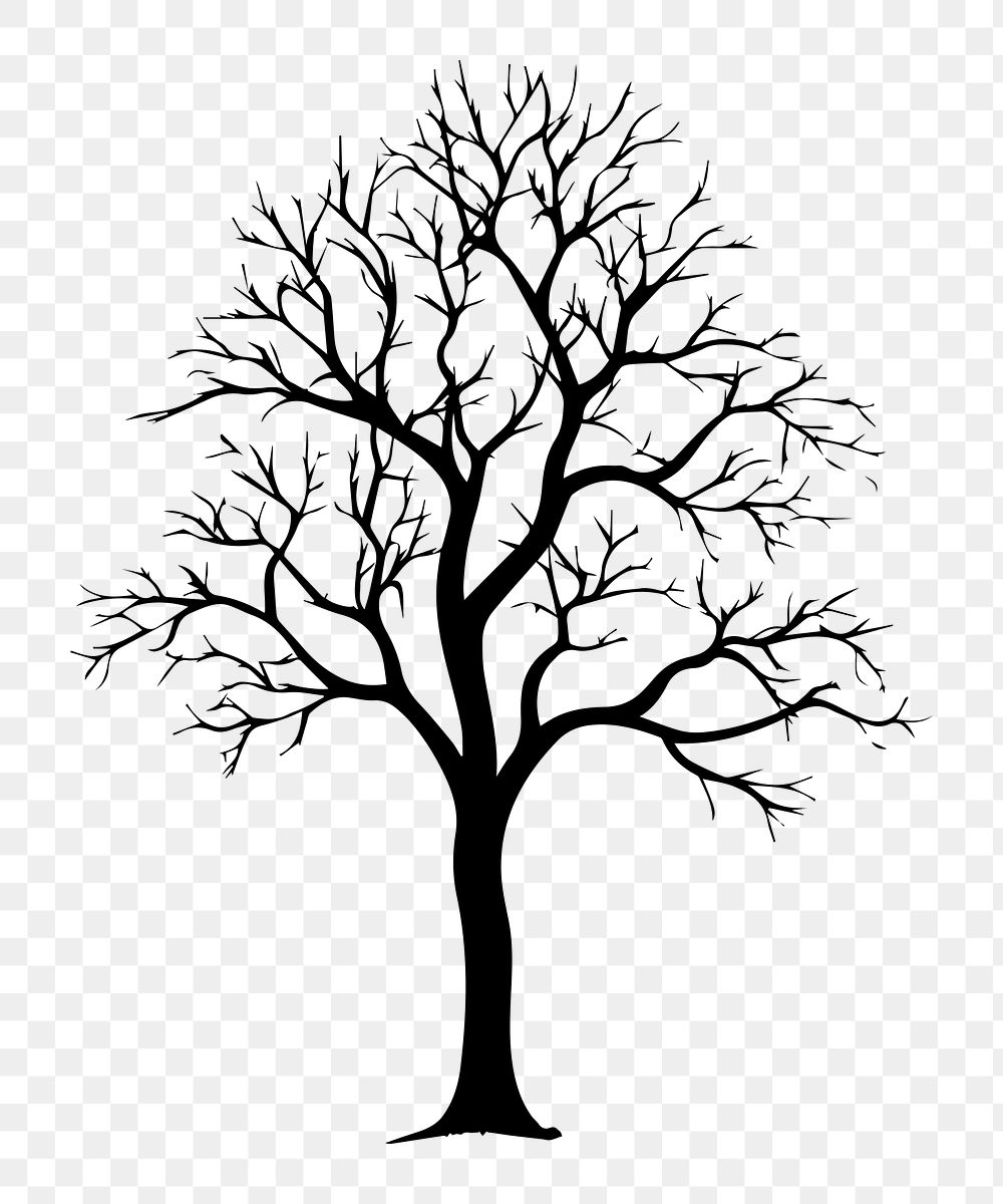 PNG  Tree with leaf silhouette drawing sketch.