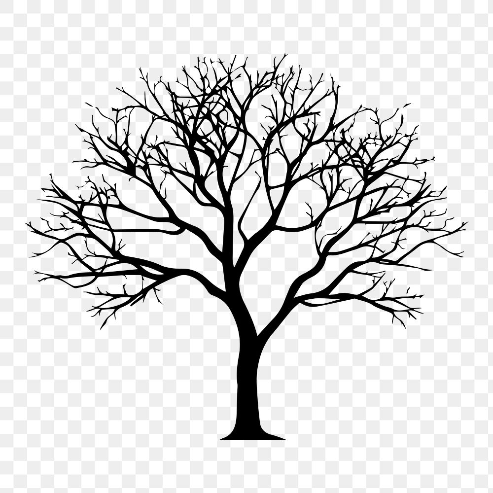 PNG  Tree silhouette drawing sketch