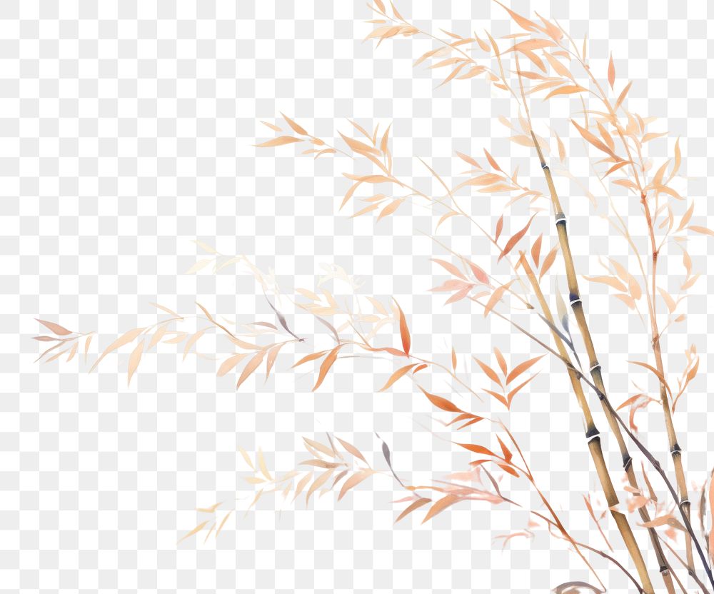 PNG Bamboo backgrounds plant line. AI generated Image by rawpixel.